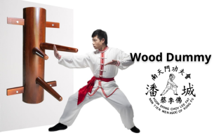 Dummy and Punching Bag  - Level 1, 2 and 3